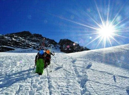 Freeride pure