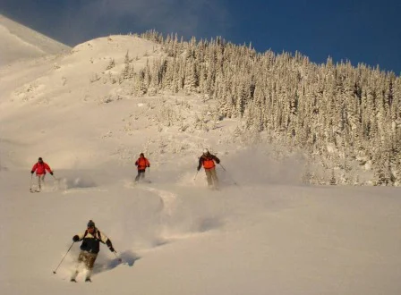 Freeride pure